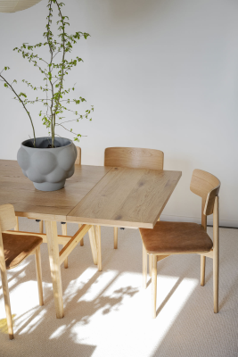 Plainfield tilläggsskiva 50x100 cm ek#2