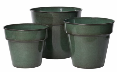 Duke kruka grön liten