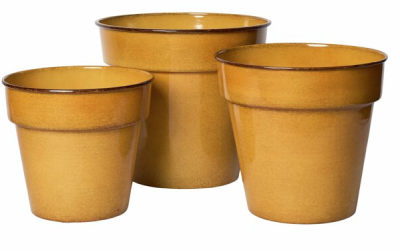 Duke kruka gul liten