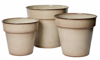 Duke kruka creme mellan#2