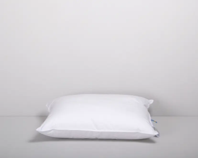 Blåklocka kudde medium 50x60 cm#2